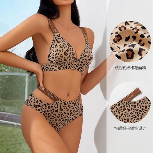 China Premium Quality Leopard Print Bra Set
