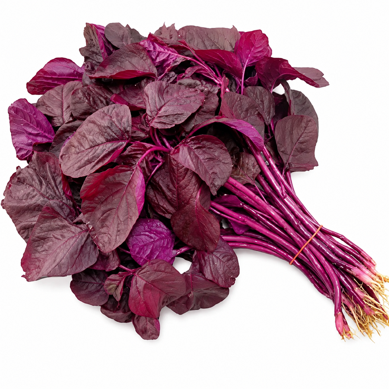 Lal Shak (Red Amaranth Spinach)